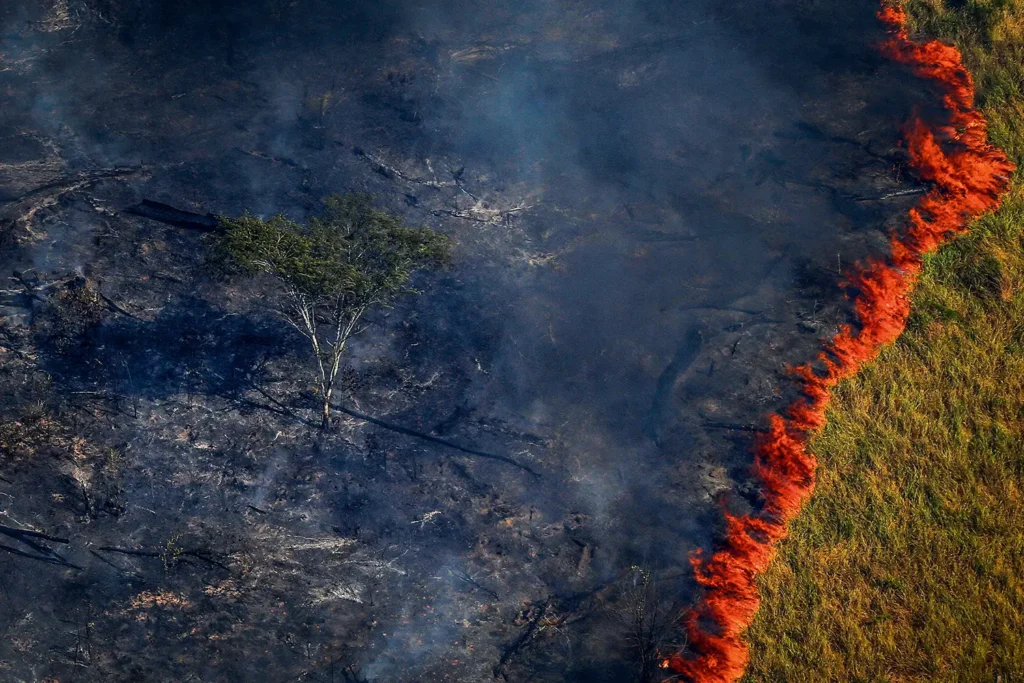 amazonia-desmatamento-2017-5536-1024x683 Os Riscos do Calor Excessivo para a Saúde