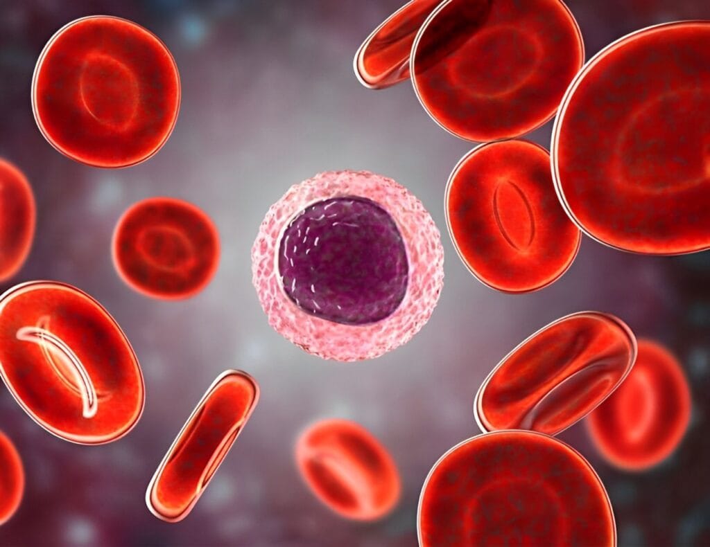 las-celulas-sanguineas-se-pueden-transformar-en-neuronas-822x634-1-1-1024x790 HIV: Como se Prevenir, Sintomas e Tratamento no SUS
